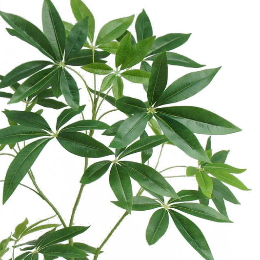 120cm Artificial Money Tree Pachira Realistic Faux Tree – image 2