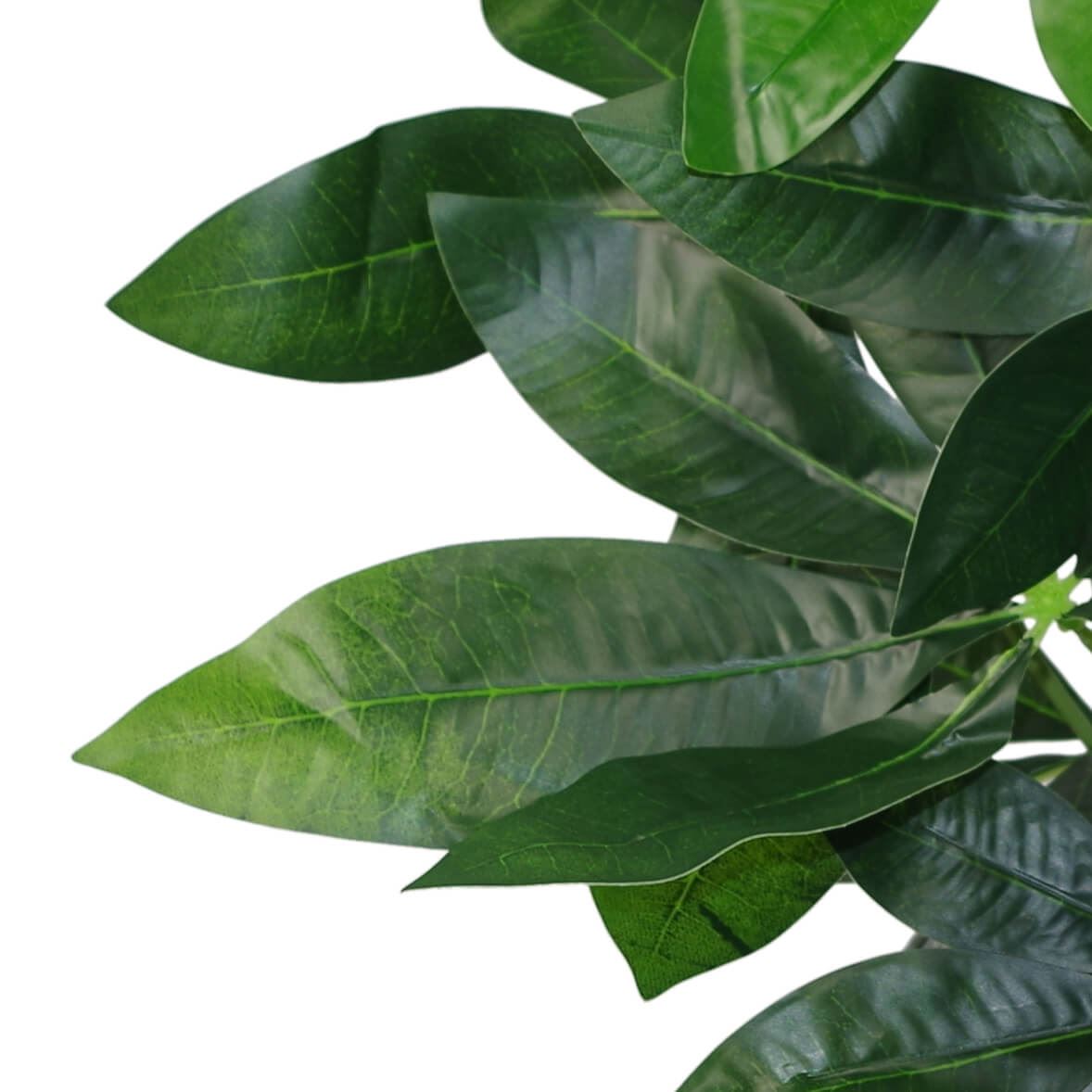50cm Artificial Money Tree Plant Pachira – image 5