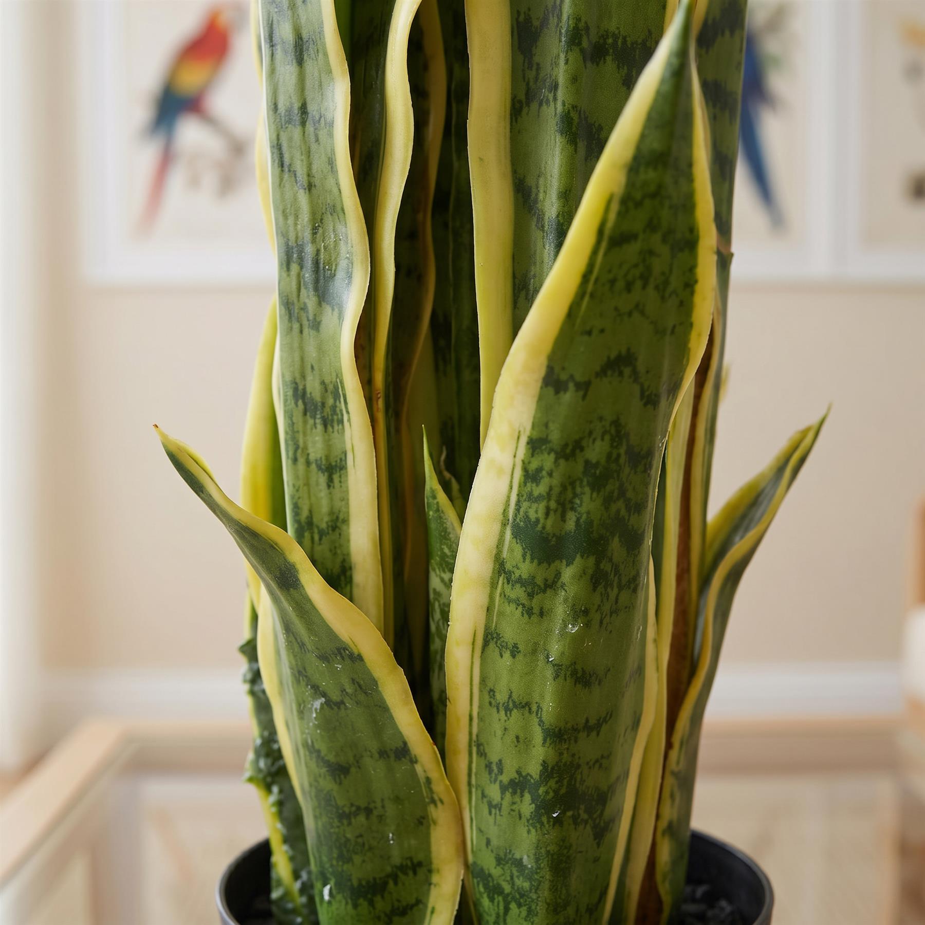 55cm Sansevieria Yellow Green Artificial Indoor Plant – image 2