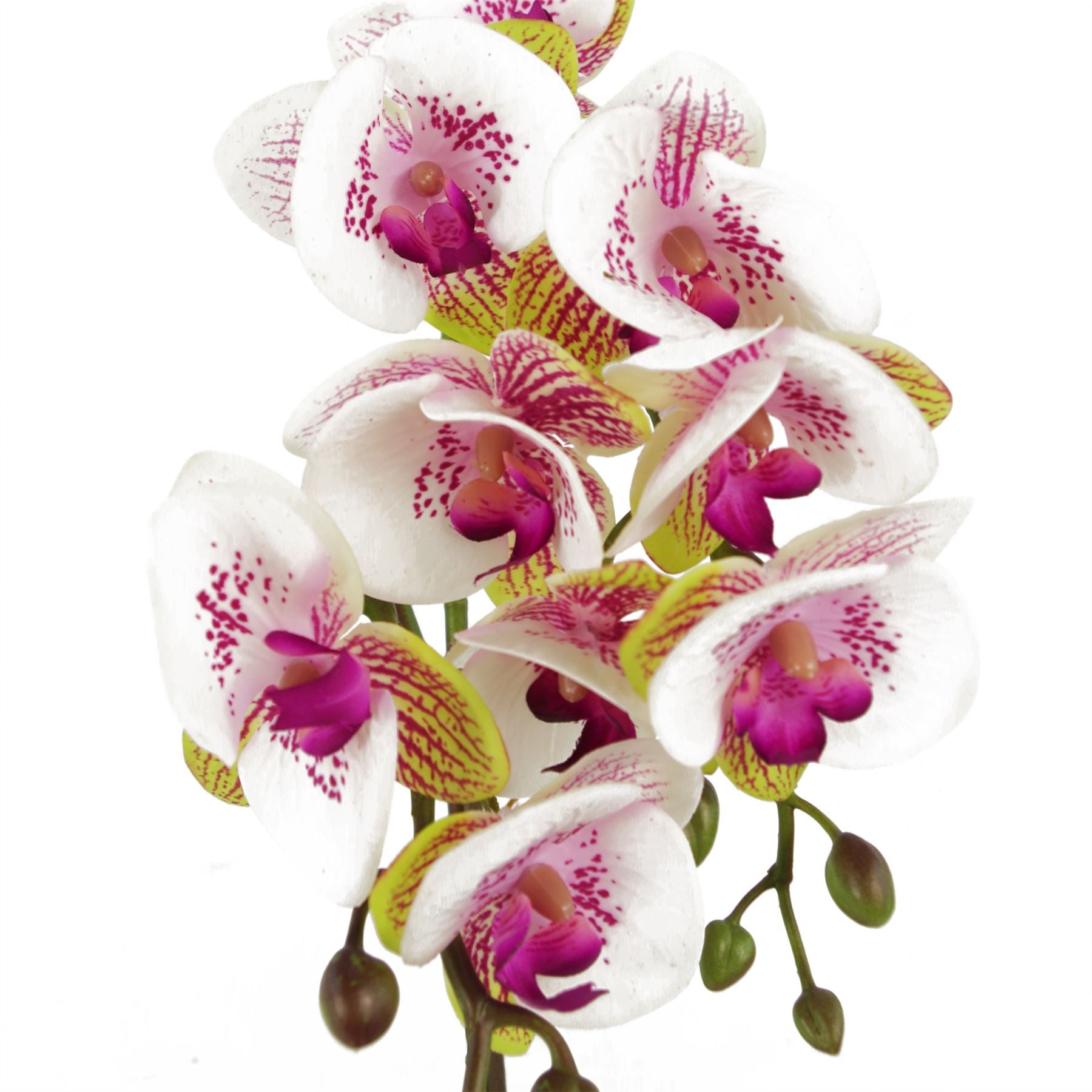48cm Harlequin Orchid Artificial Pink with Gold Pot – image 2