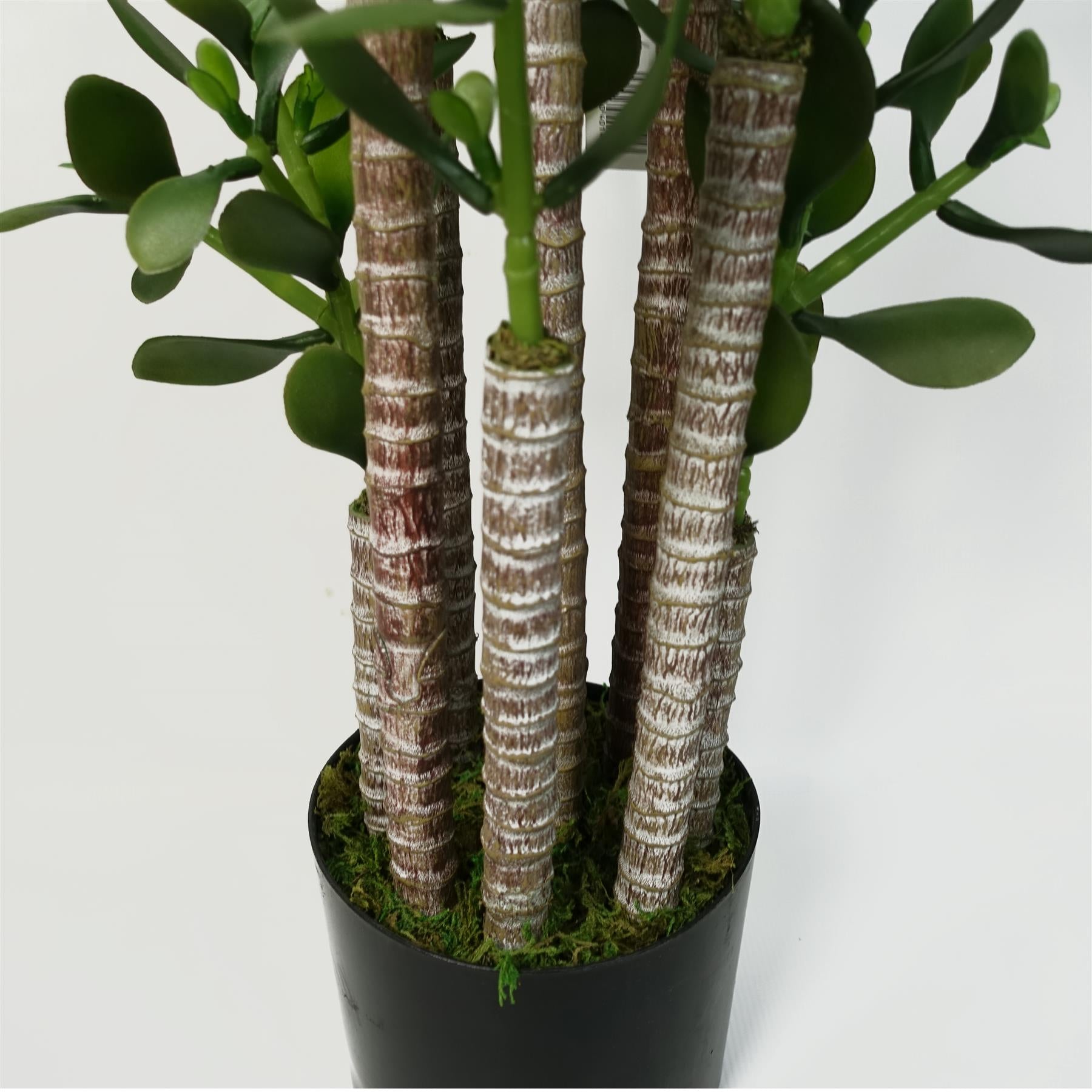 Faux Deluxe 75cm Artificial Green Jade Plant – image 5
