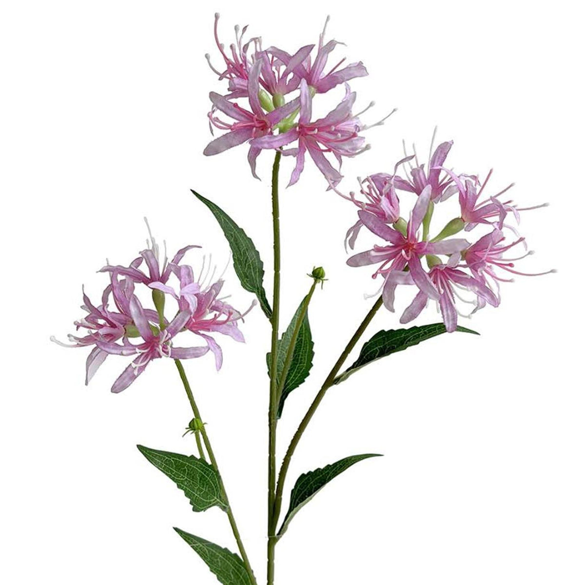 72cm Artificial Pink Spider Lily Stem