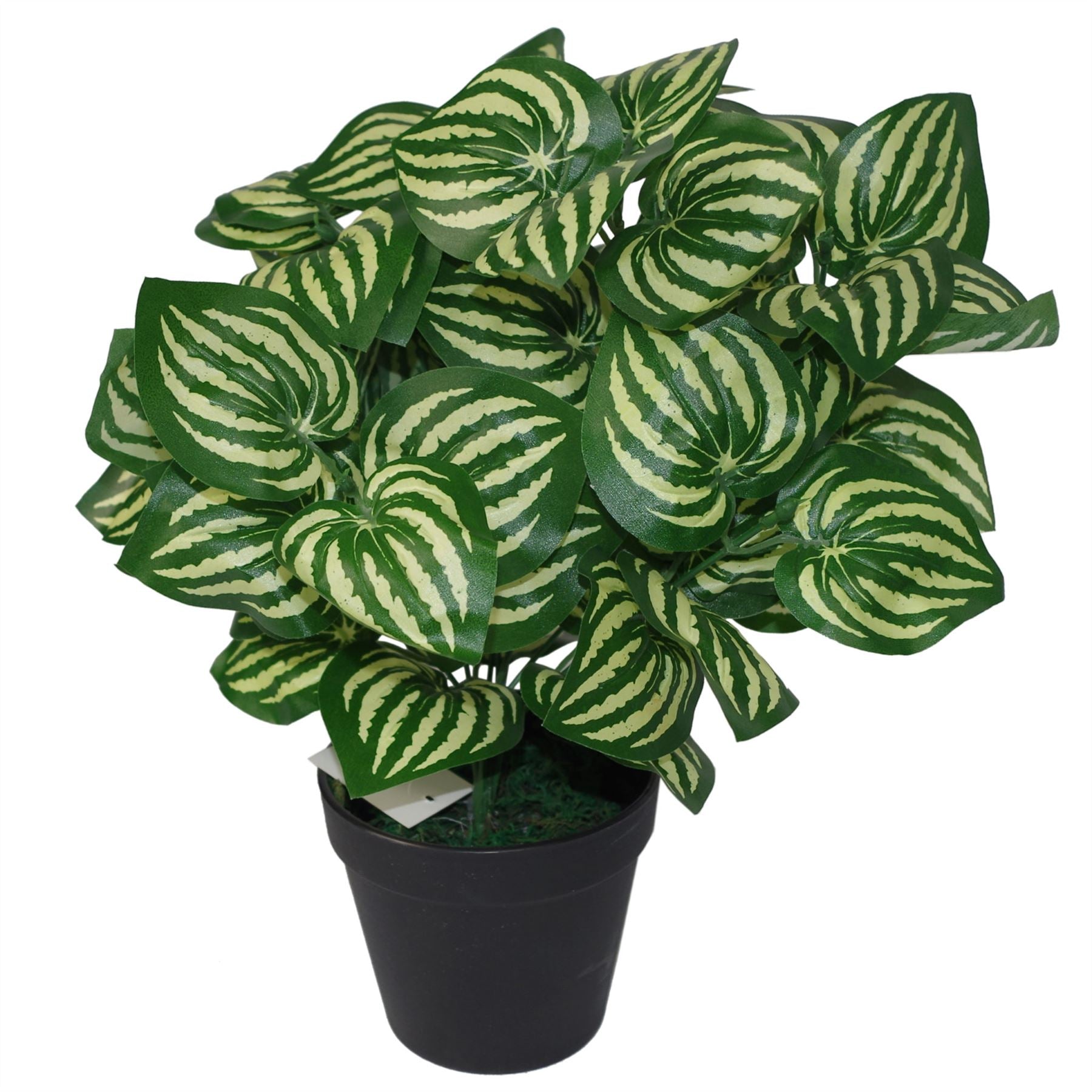 40cm Artificial Watermelon Style Leaves Plant – image 3