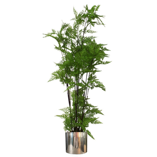 150cm Artificial Moss Base Fern Foliage Plant with Silver Metal Plater – image 2