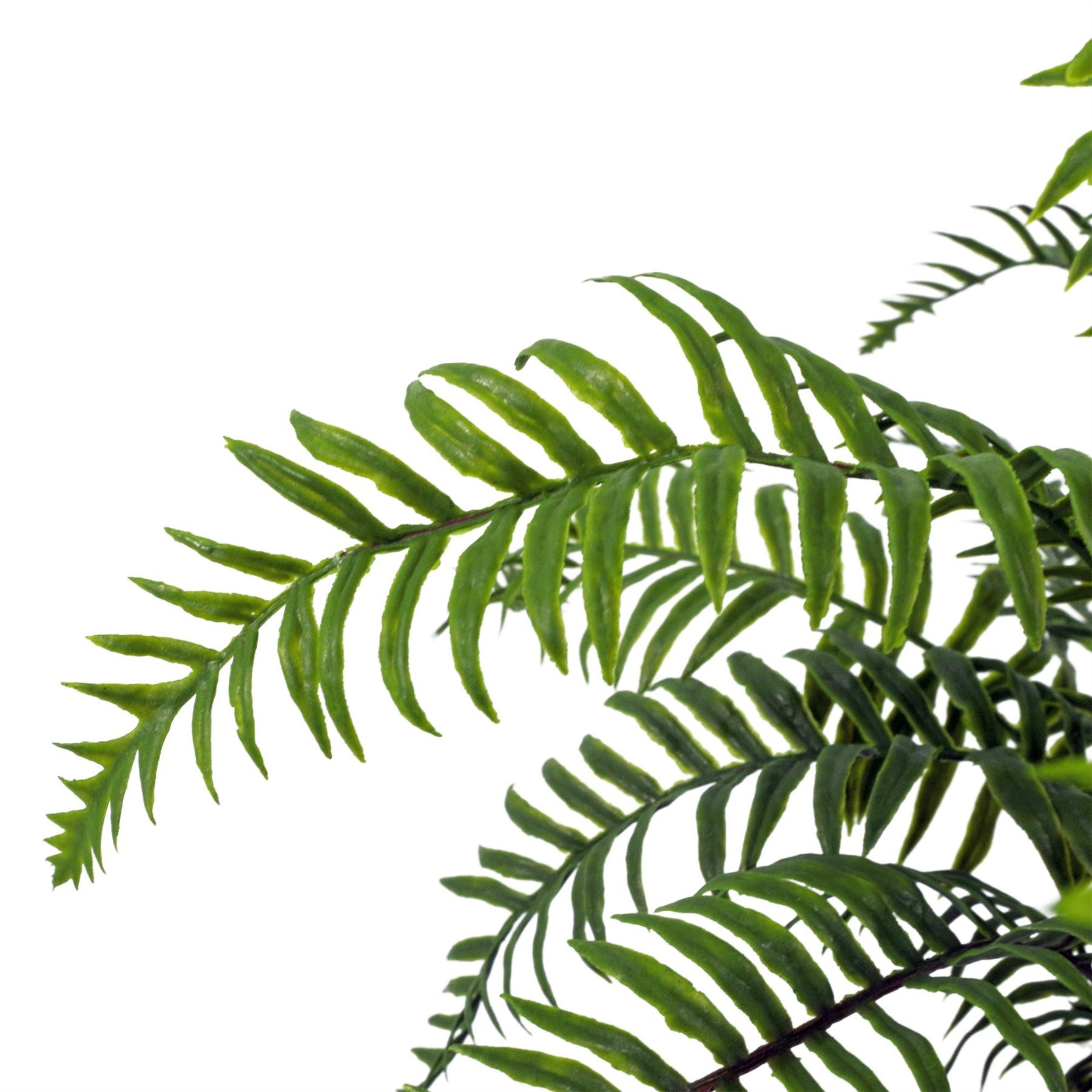 50cm Artificial Boston Fronded Fern Plant – image 6