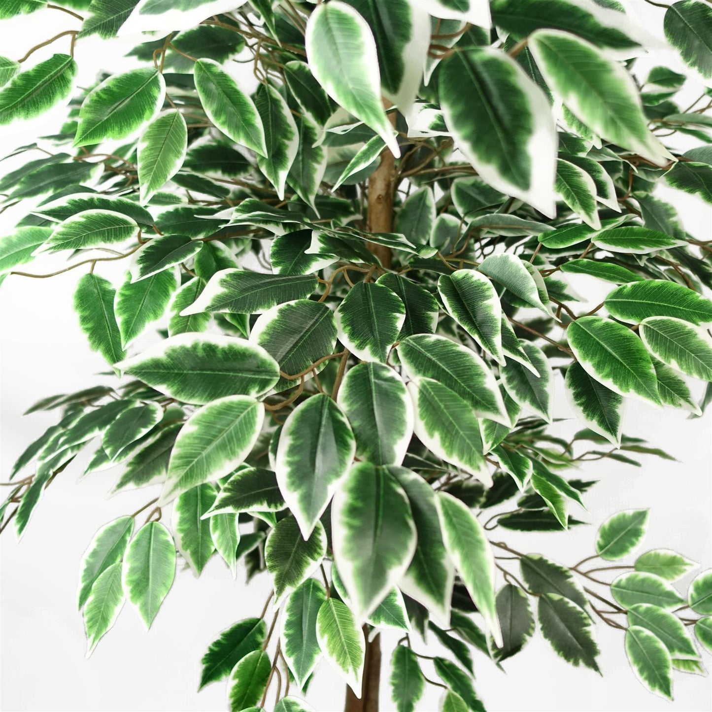 150cm Artificial Ficus Tree 1008 Silk Leaves – image 3