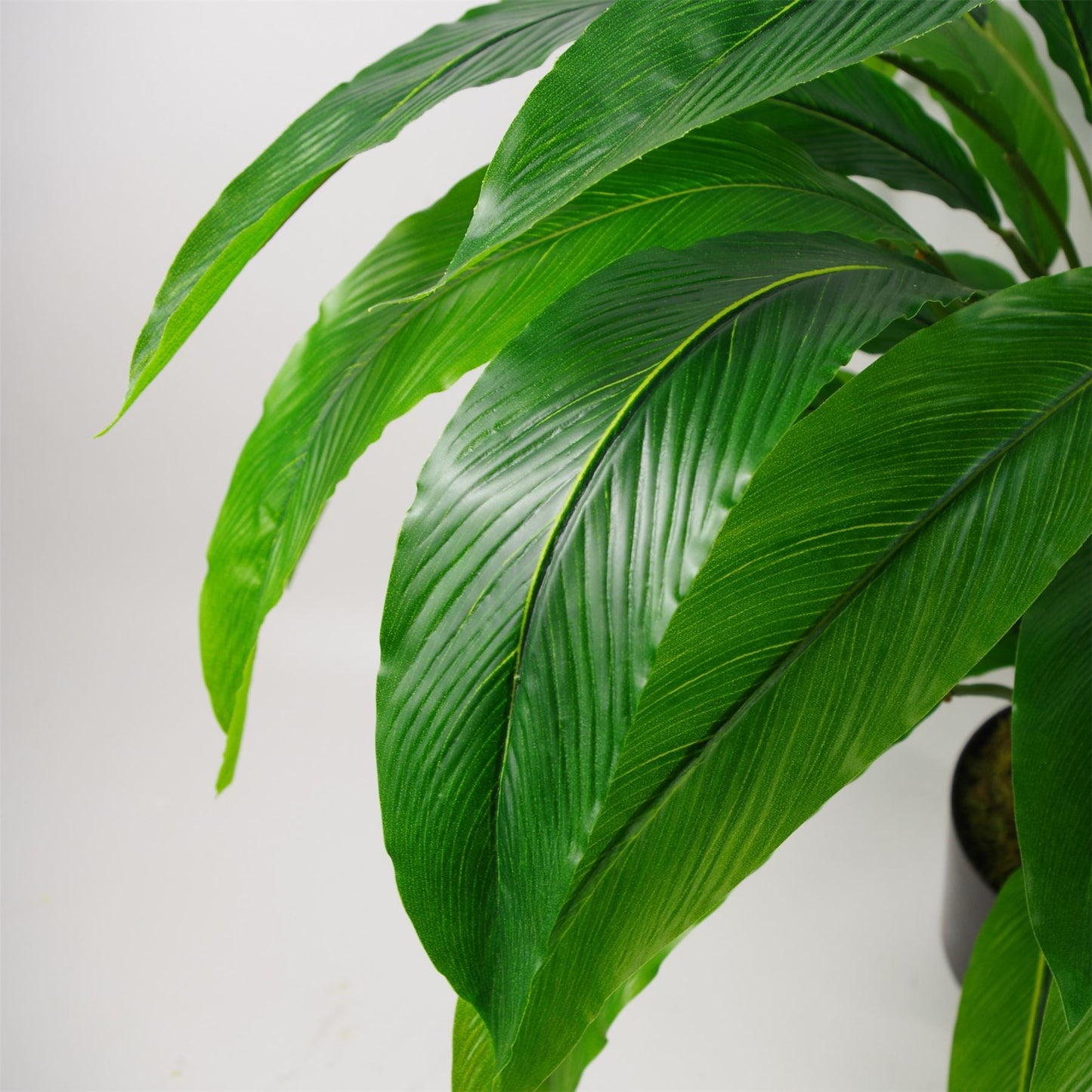 60cm Artificial Calathea Evergreen Plant – image 5