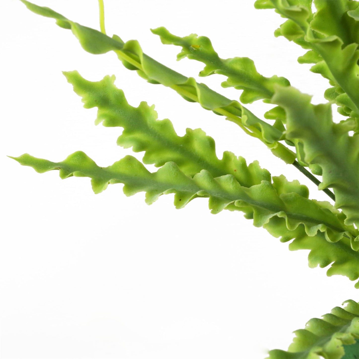 40cm Artificial Crocodile Fern Plant – image 6