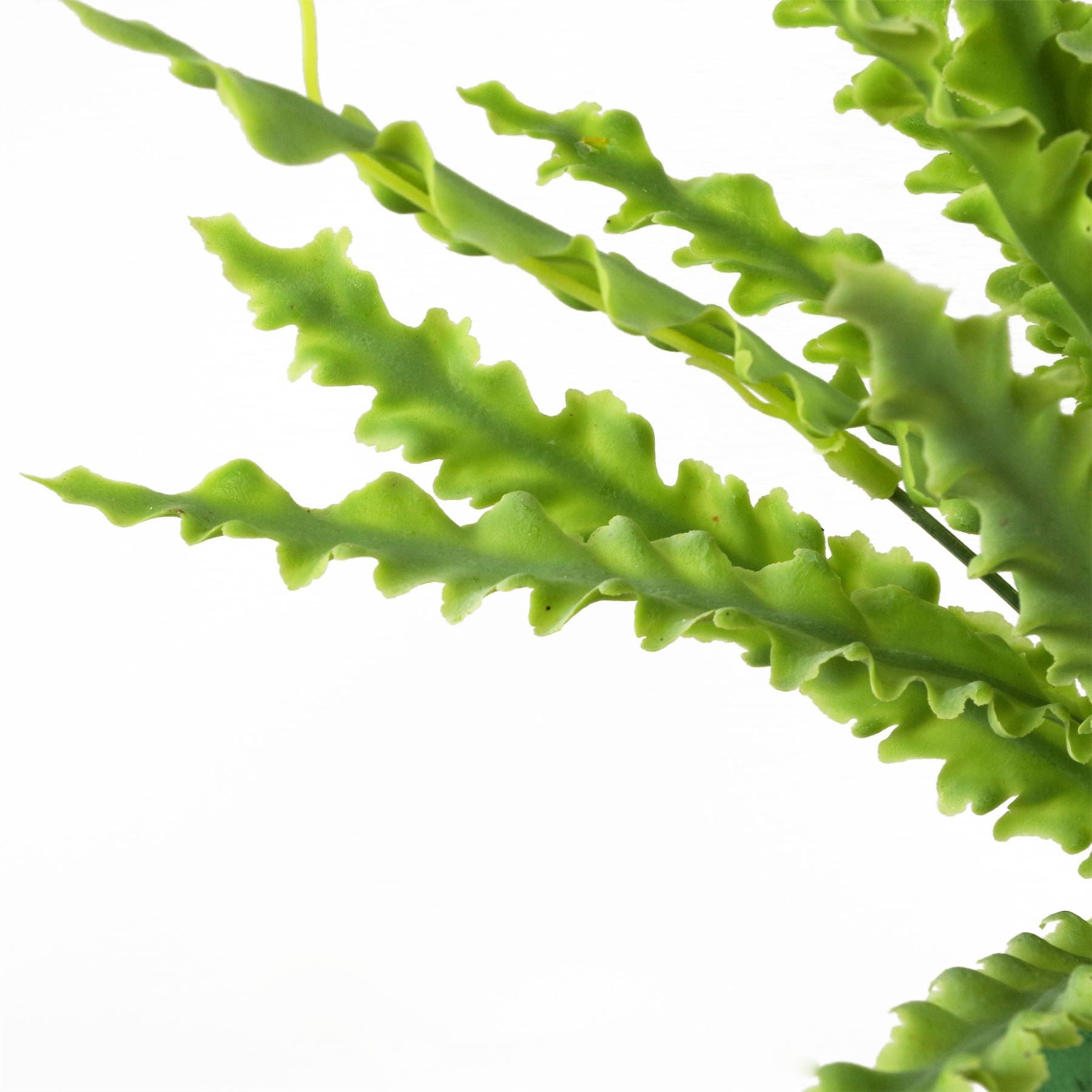 40cm Artificial Crocodile Fern Plant – image 6