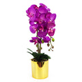 52cm Artificial Orchid Large Purple Gold