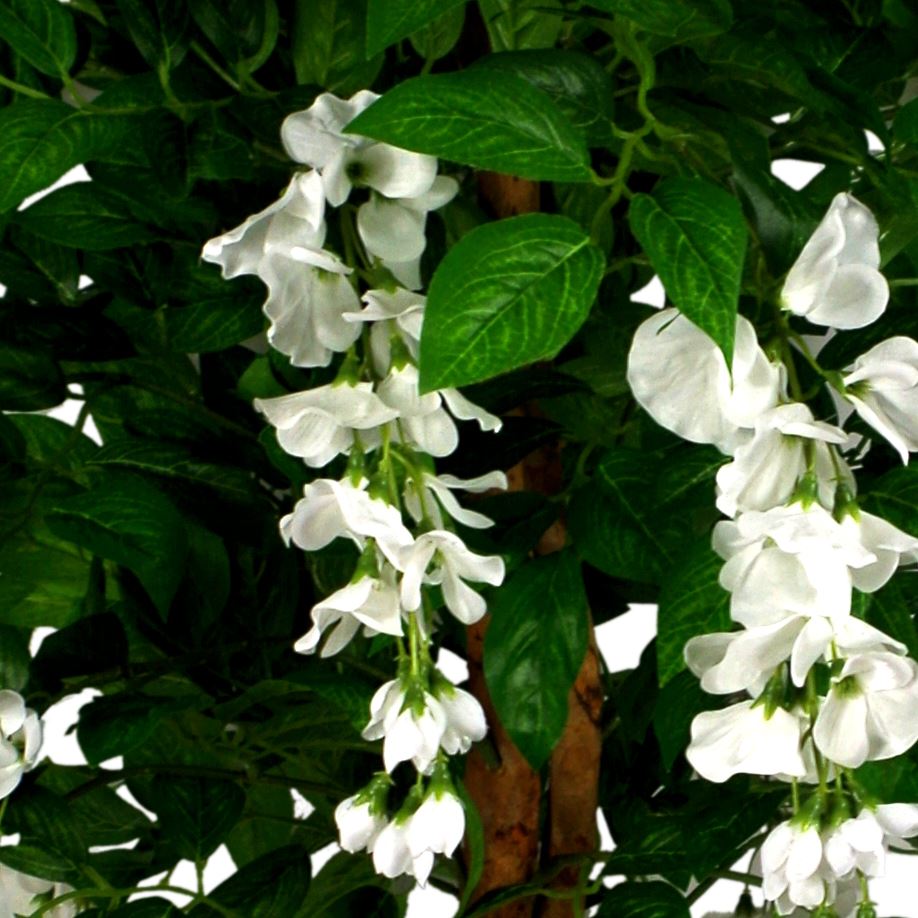 Artificial 130cm Luxury Wisteria Tree White Flowers Premium Range – image 3
