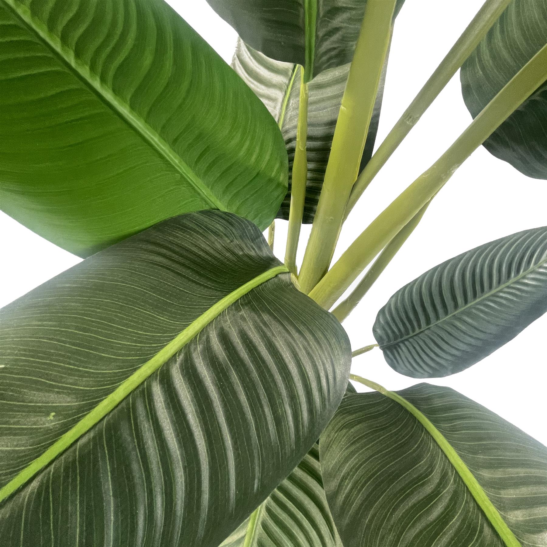 150cm Artificial UV Traveller Banana Palm Tree – image 4