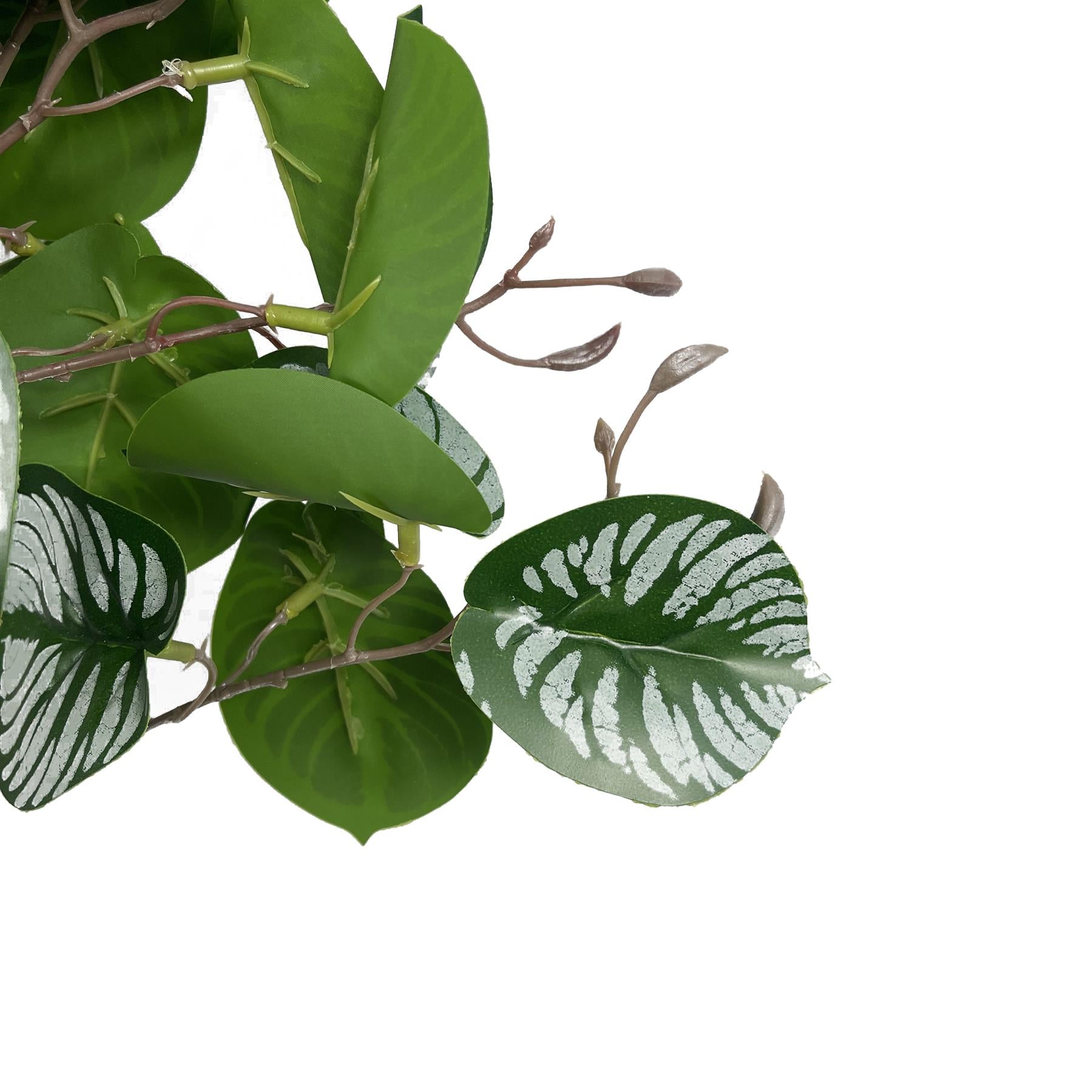 70cm Artificial Zebra Foliage – image 4
