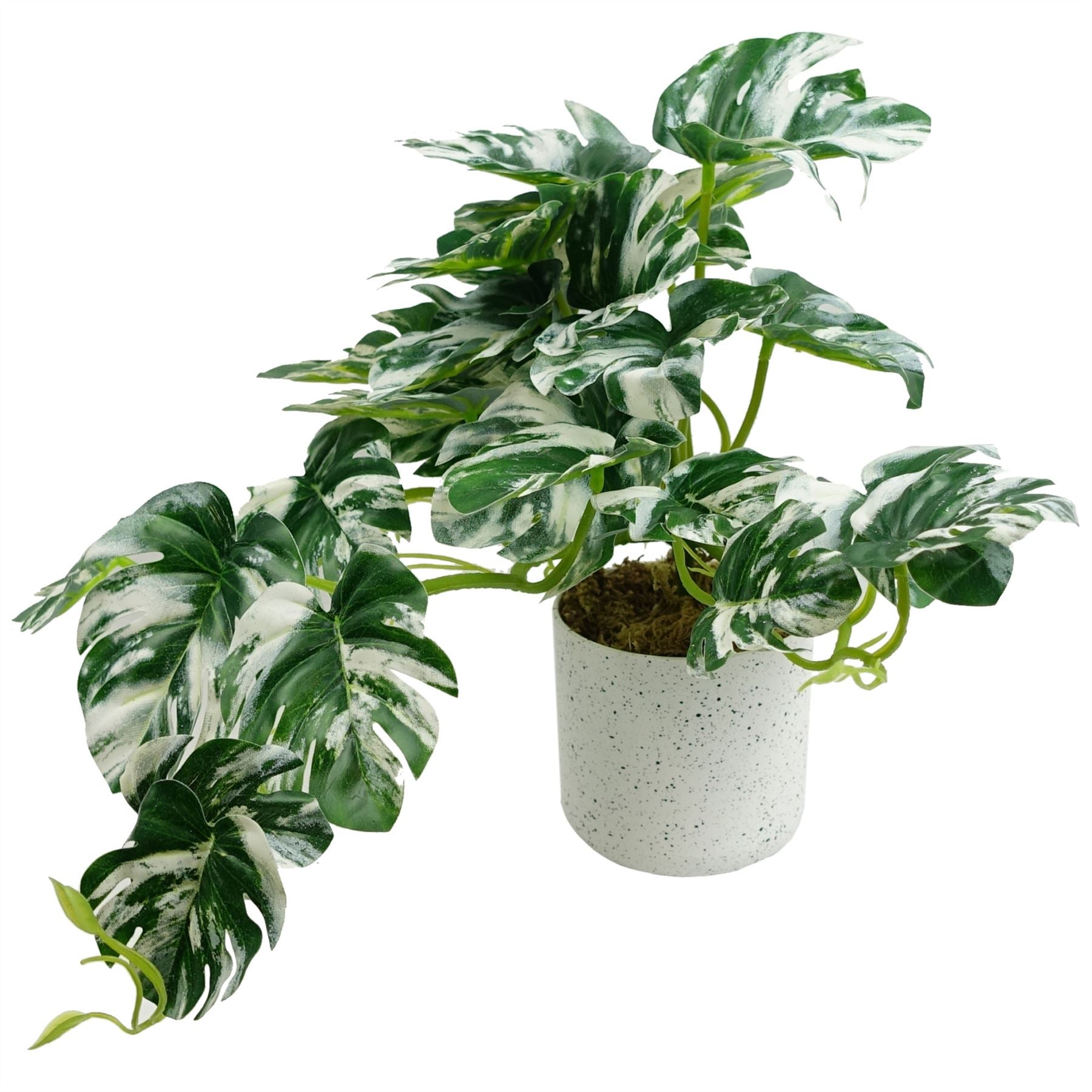 30cm Artificial Variegated Green Potted Monstera Trailing Plant – image 3