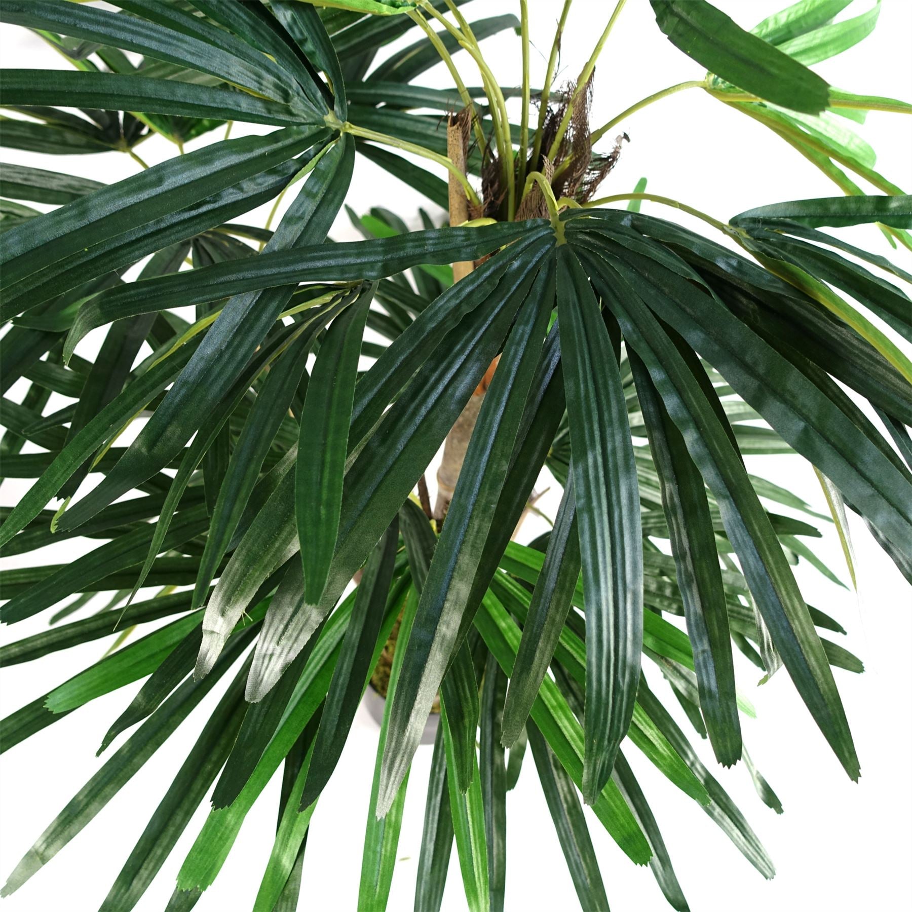 100cm Raphis Palm Artificial Tree – image 3
