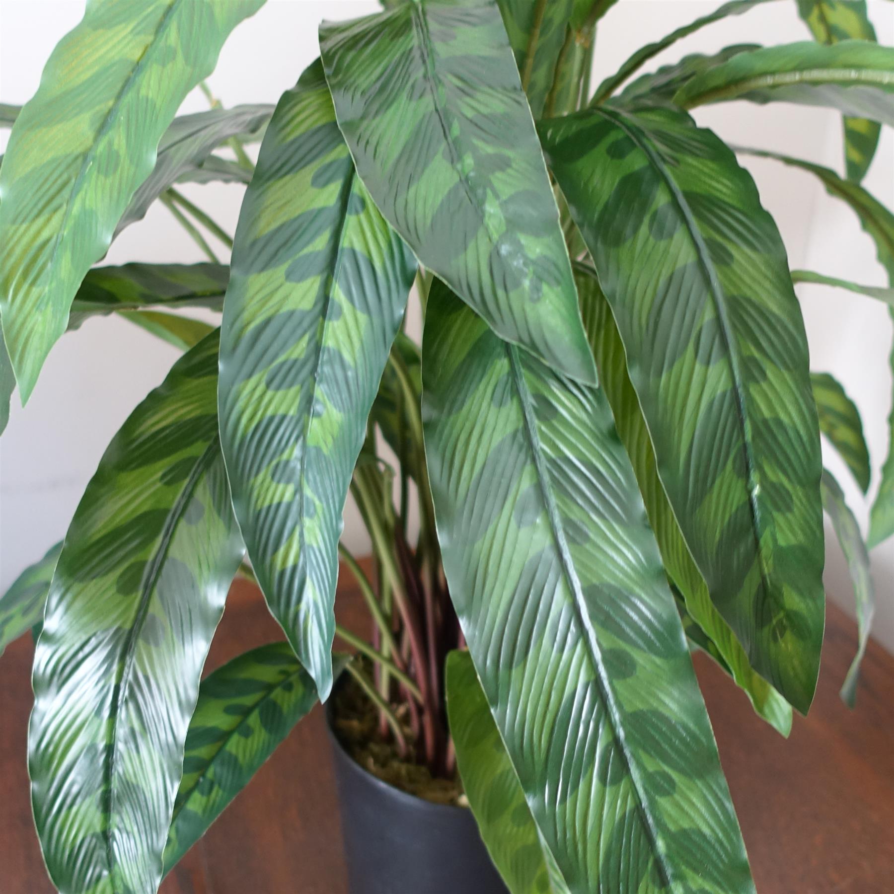 60cm Variegated Artificial Calathea Plant – image 2
