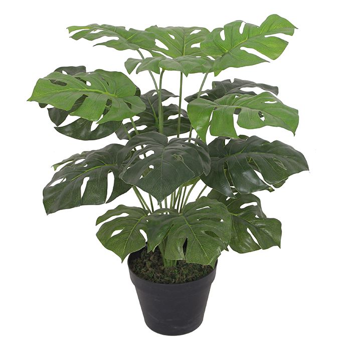 Artificial Monstera Plant 60cm Monstera – image 2