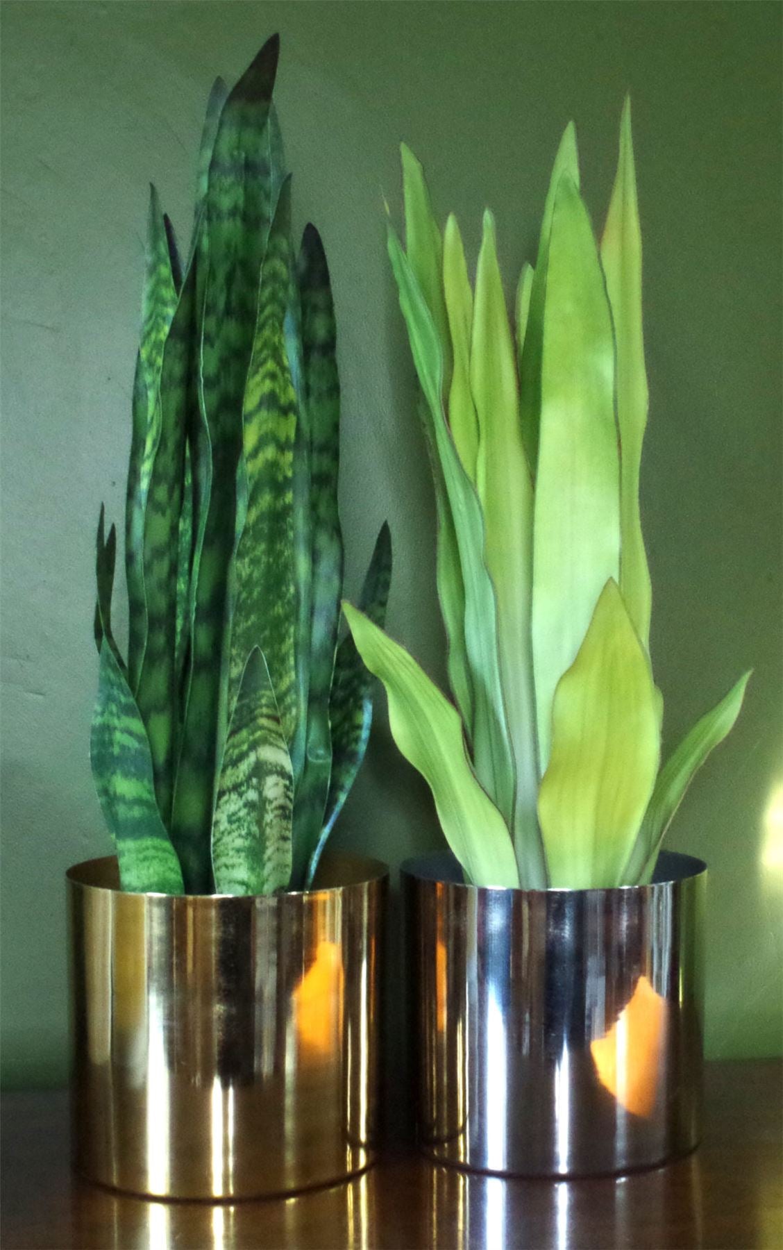 Leaf Planter Plant Pot with Polished Gold Finish 20 x 18cm GoldGold – image 5