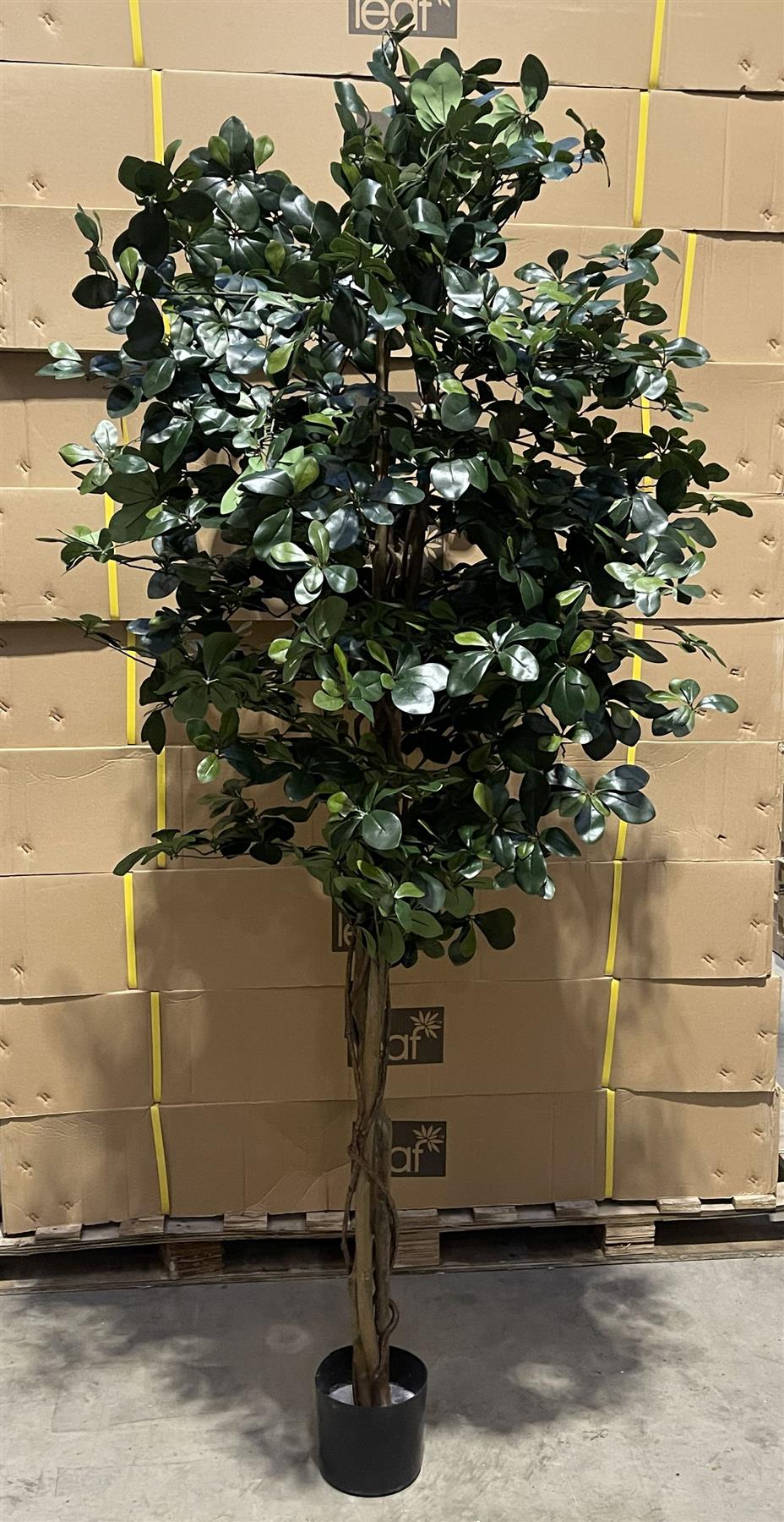 180cm Artificial Fire Retardant Black Olive Tree and Natural Trunk – image 9