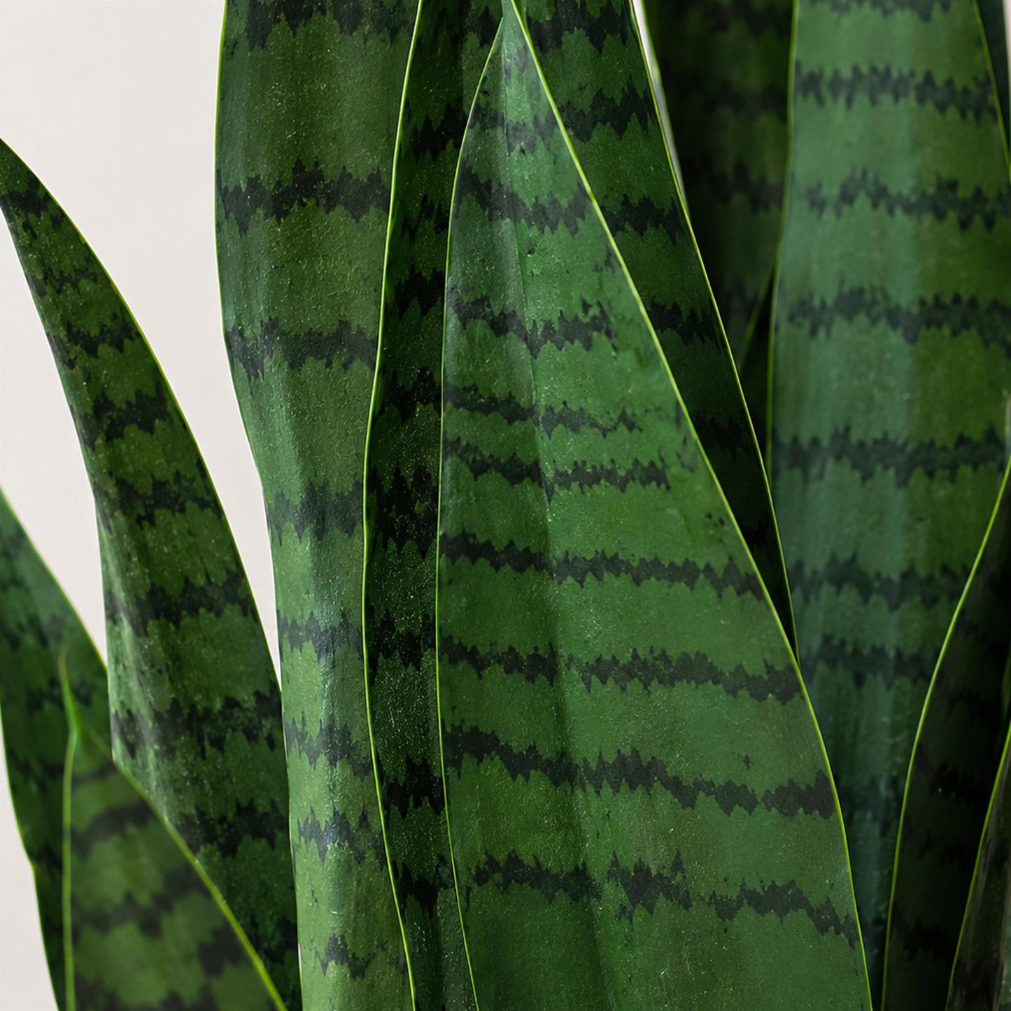 70cm Artificial Sansevieria Dark Green – image 2