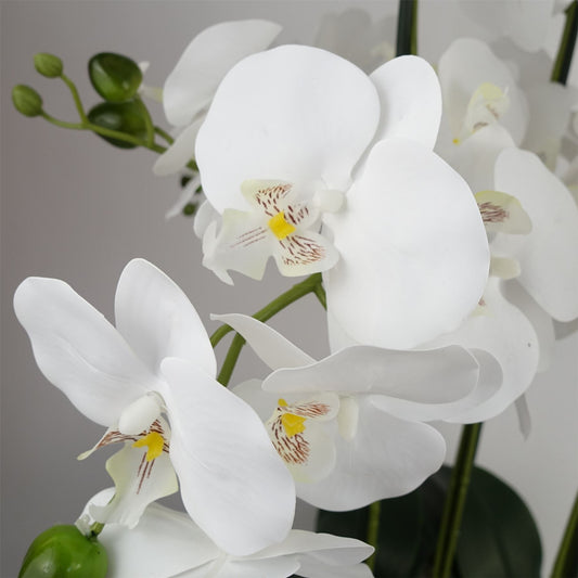 50cm Artificial Orchid with Glass Planter White – image 2