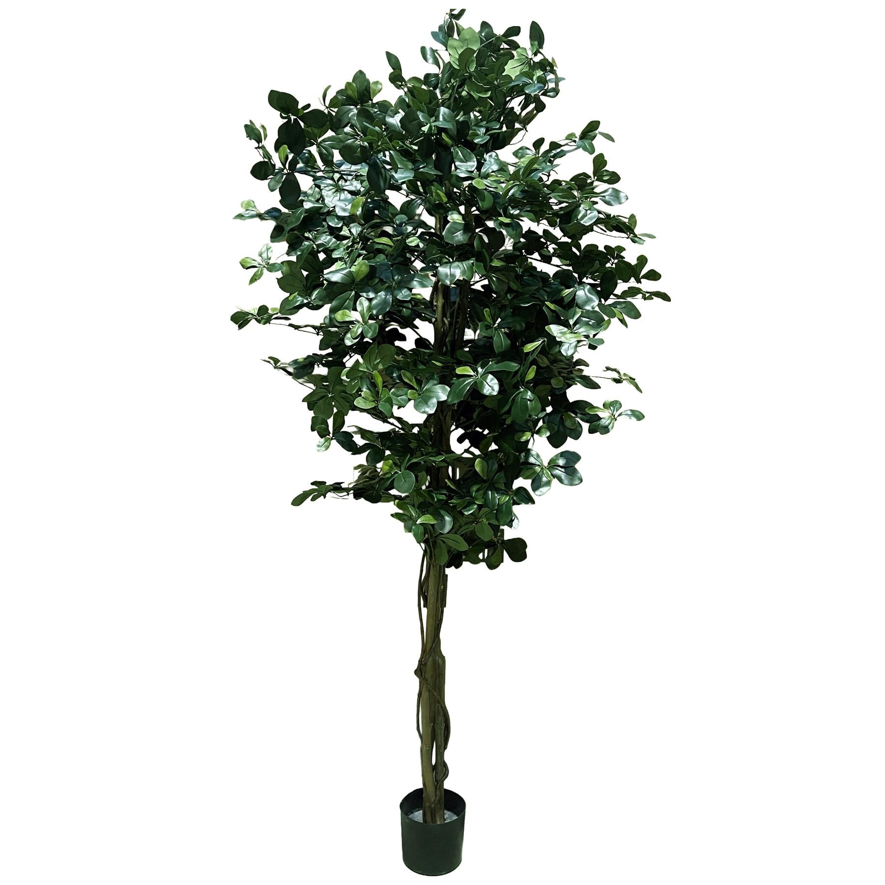 180cm Artificial Fire Retardant Black Olive Tree and Natural Trunk