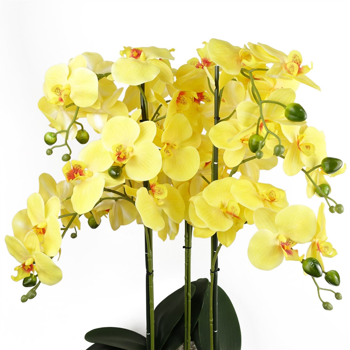 Artificial 60cm Orchid Yellow Black Ceramic Planter – image 2