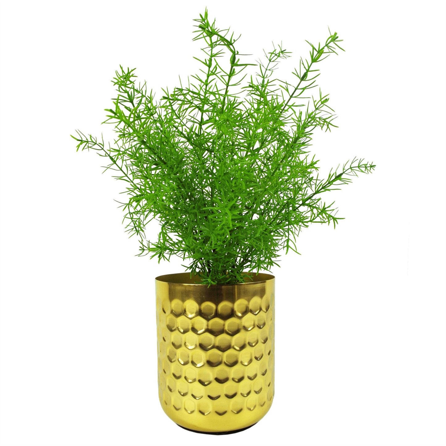 45cm Artificial Asparagus Fern Plant – image 2