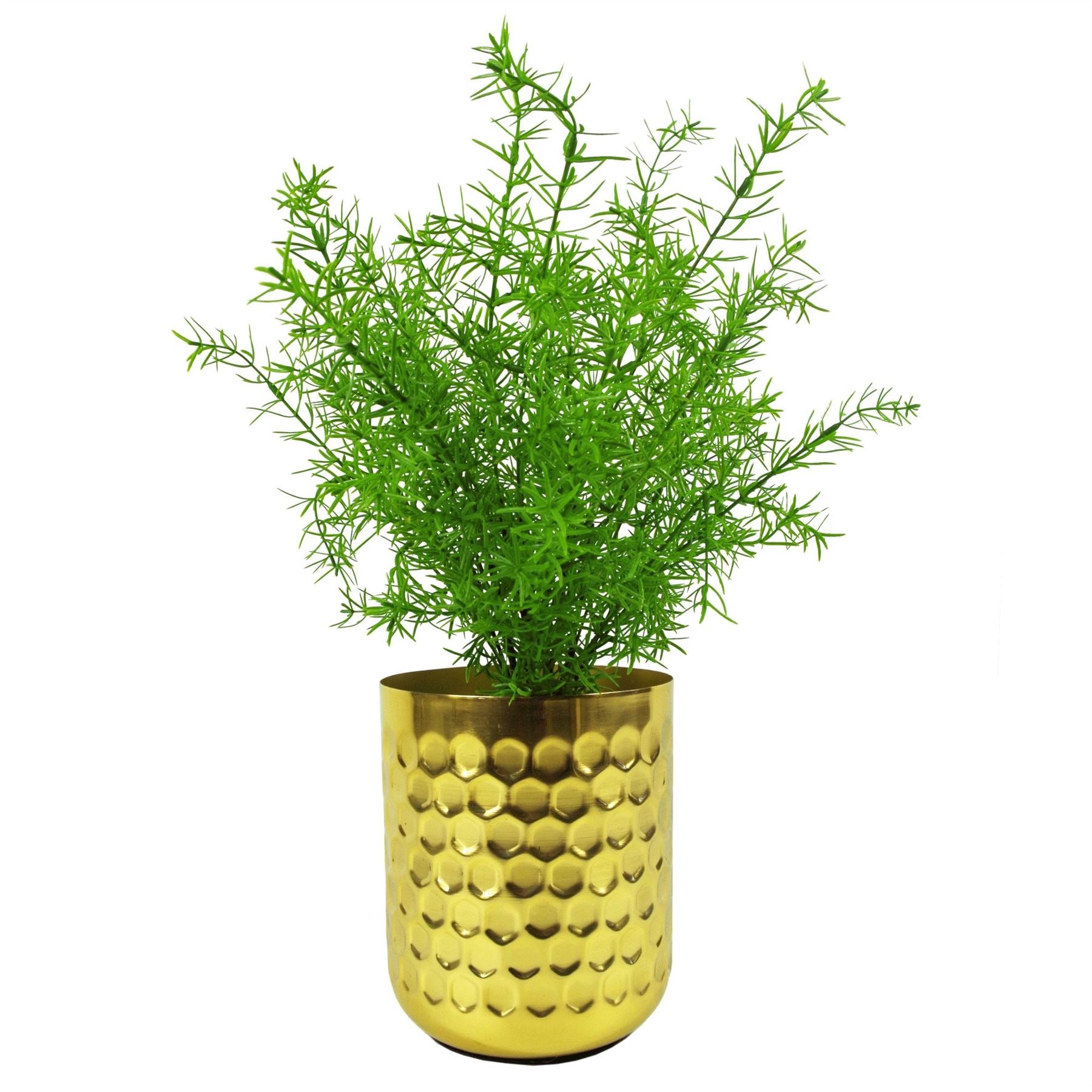 45cm Artificial Asparagus Fern Plant – image 2