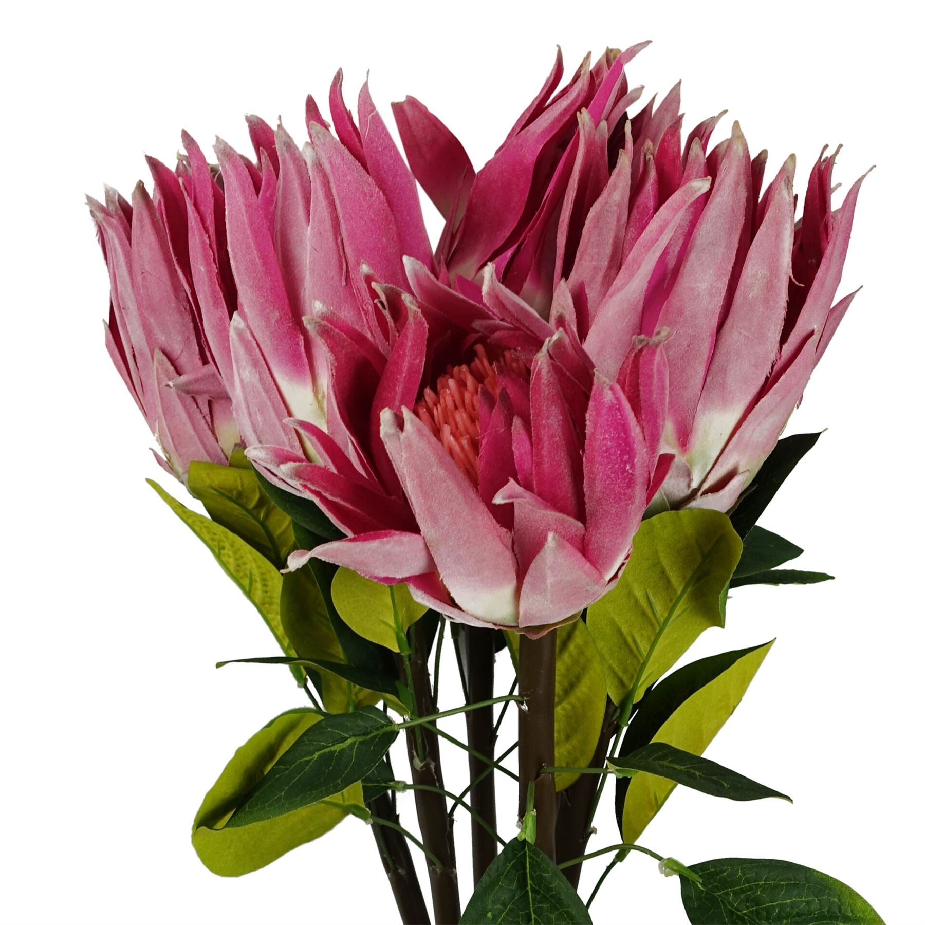 65cm Artificial Protea Sugarbush Flower Stem Pink – image 4