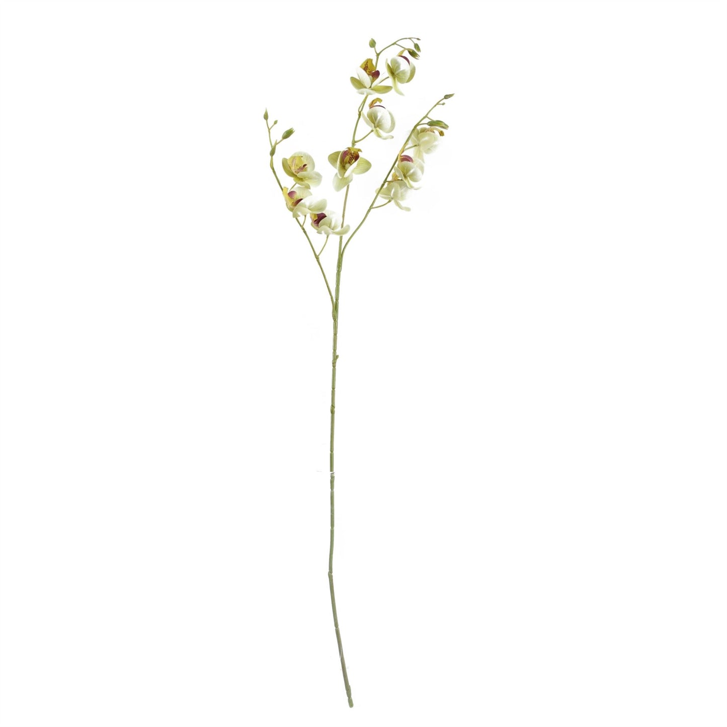 65cm Artificial Mixed Wild Orchid and Ferns Glass Vase – image 5