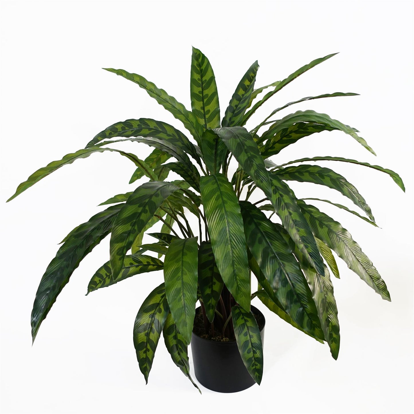 60cm Variegated Artificial Calathea Plant – image 5