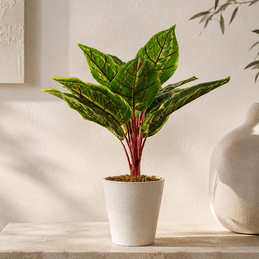 38cm Potted Artificial Calathea Veitchiane