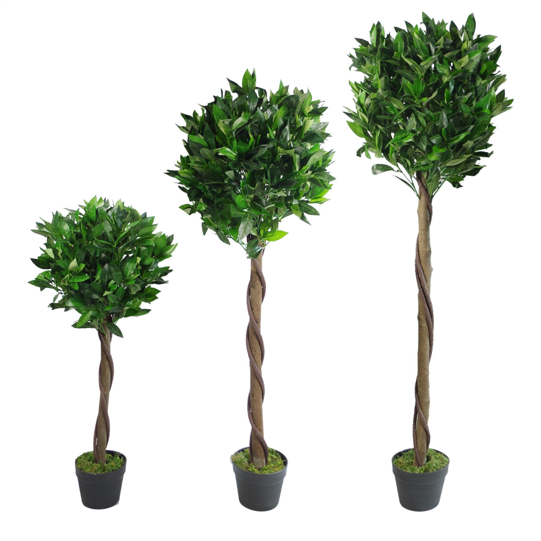 120cm Twist Natural Trunk Artificial Topiary Bay Laurel Ball Tree – image 3