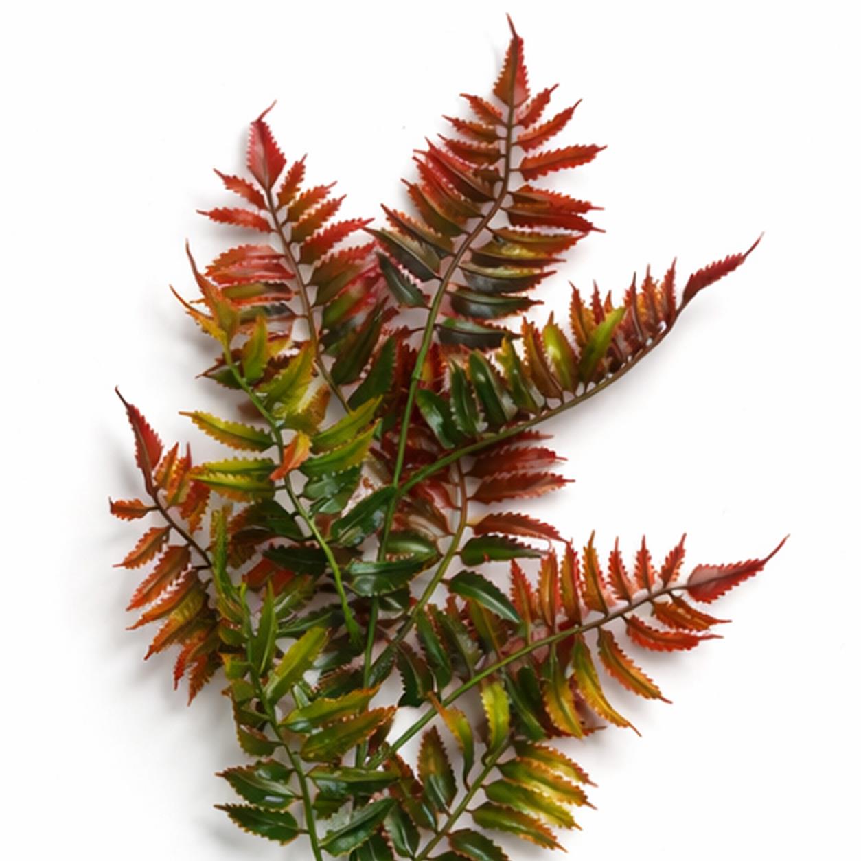 50cm Artificial Fern Spray Stem Autumn Orange – image 2