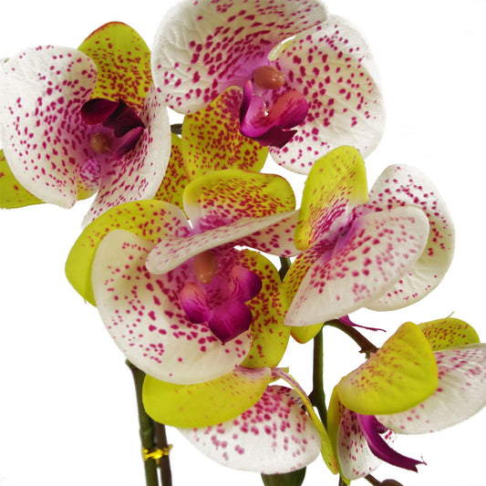 46cm Artificial Orchid Harlequin Pink with Silver Pot – image 2