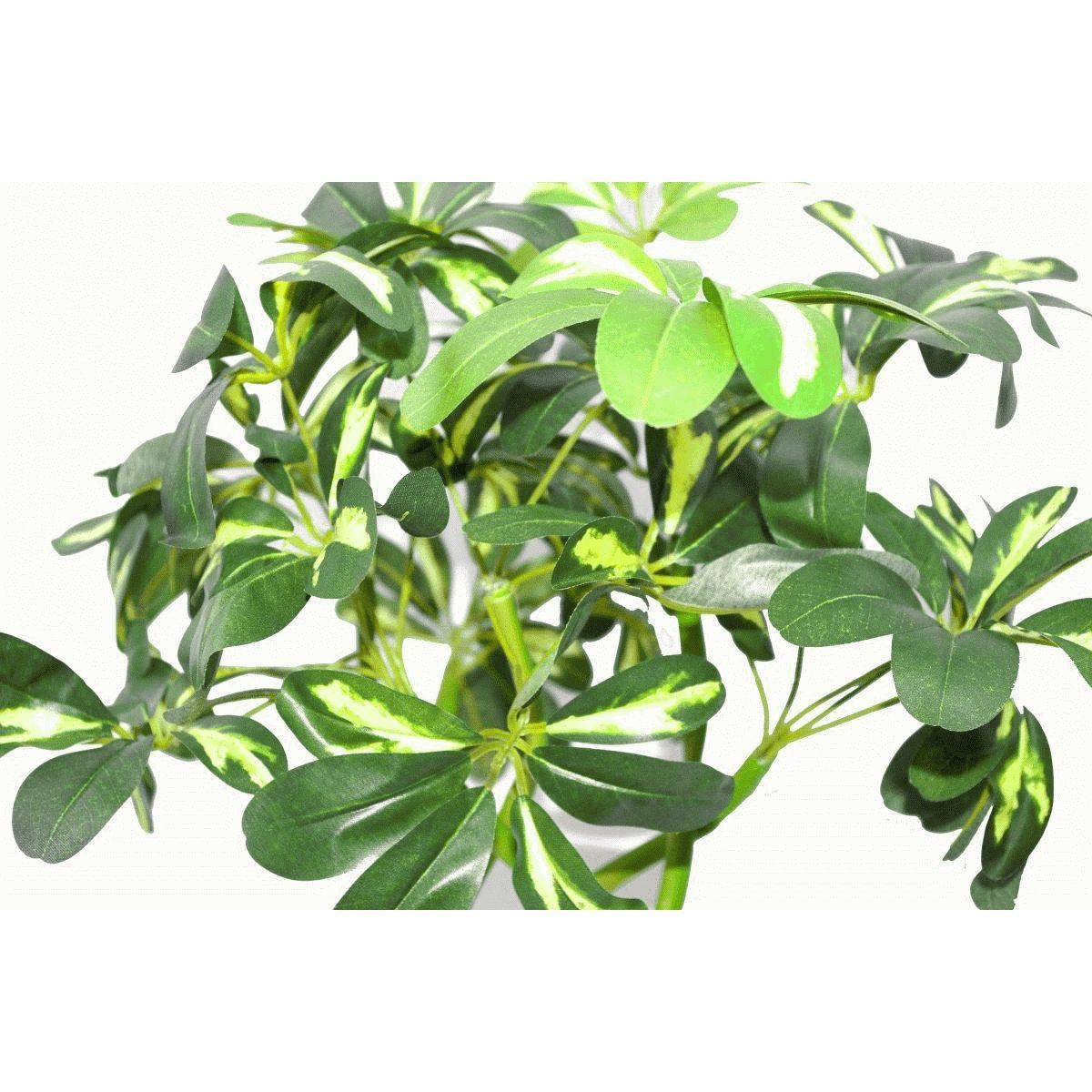 70cm Twisted Stem Modern Arboricola Artificial Plant Bonsai Bush – image 3