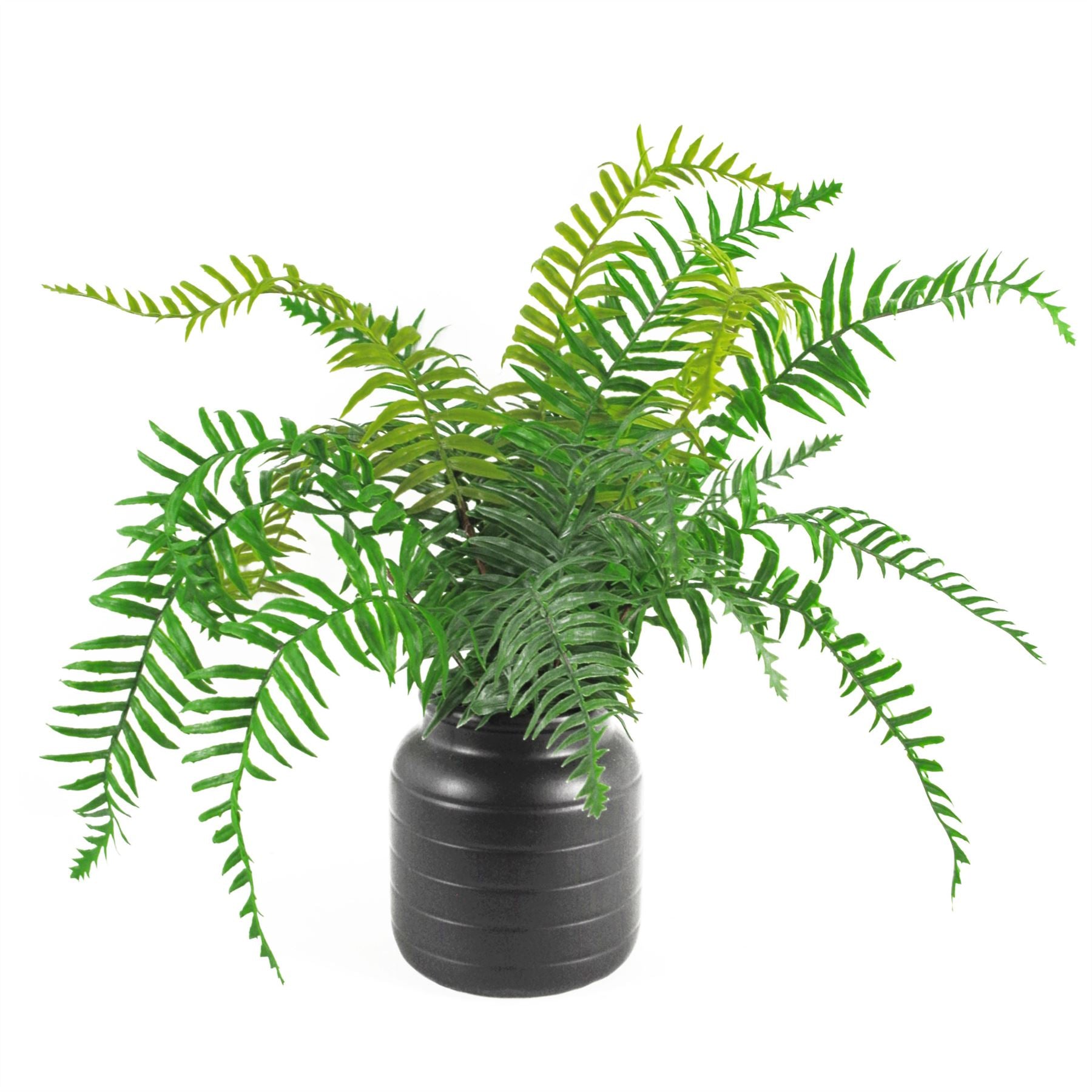 Black Vase Planter 13 x 13 x 14cm BlackBlack – image 6