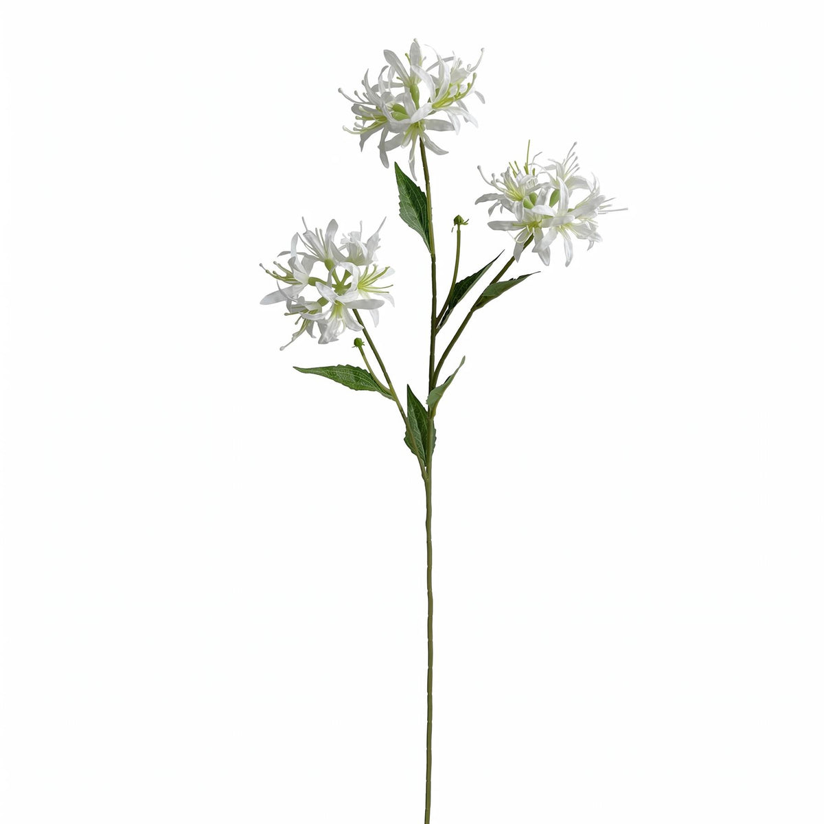 72cm Artificial White Spider Lily Stem