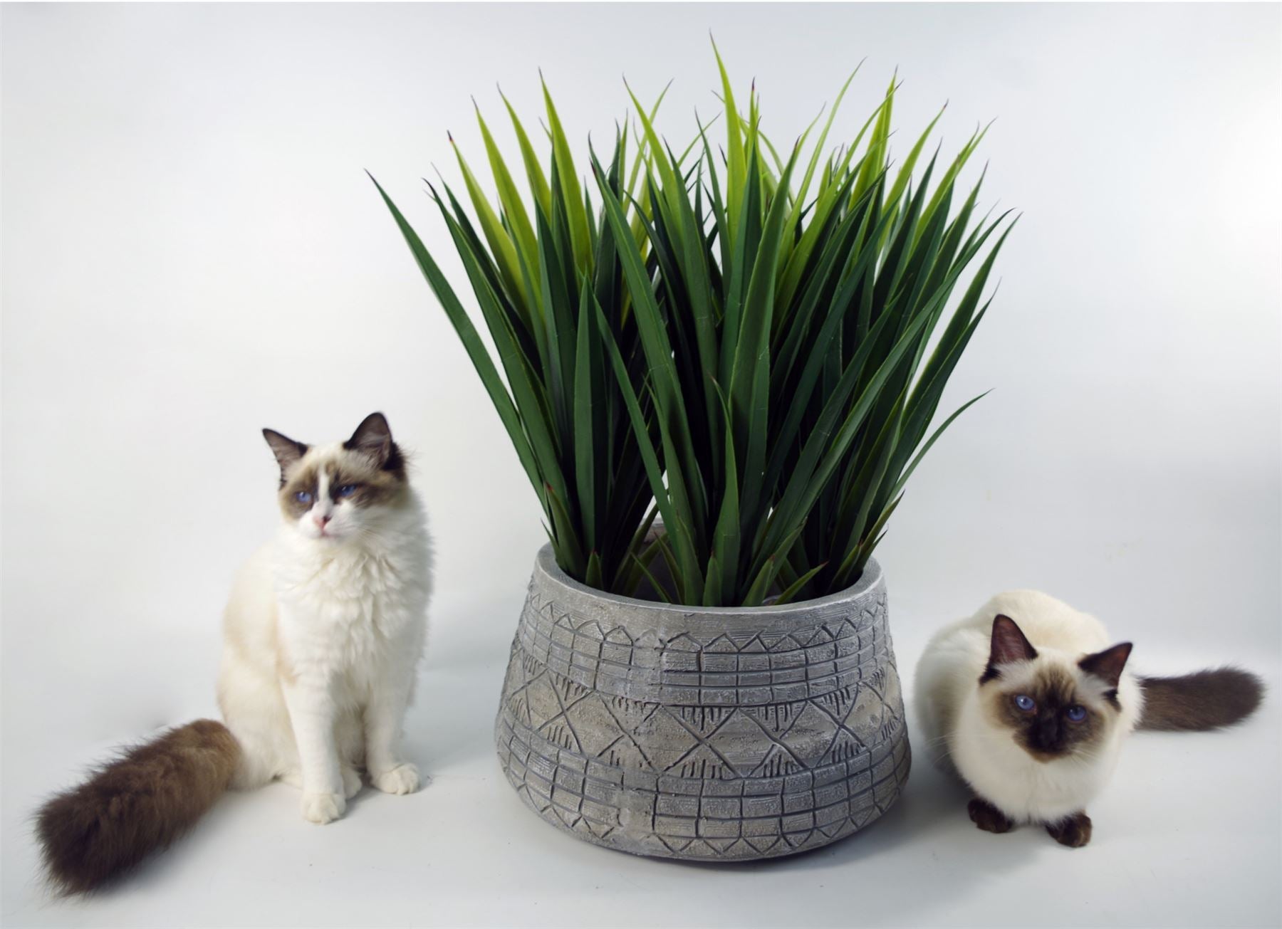 x 37cm Large Grey Gliese Embossed Planter 22cm – image 6