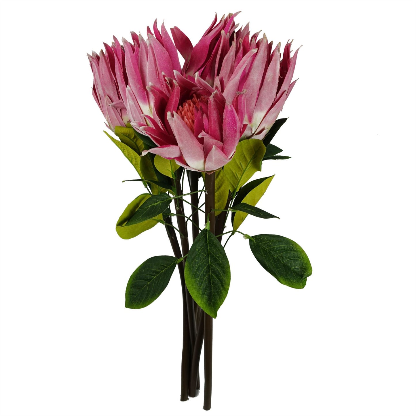 65cm Artificial Protea Sugarbush Flower Stem Pink – image 7