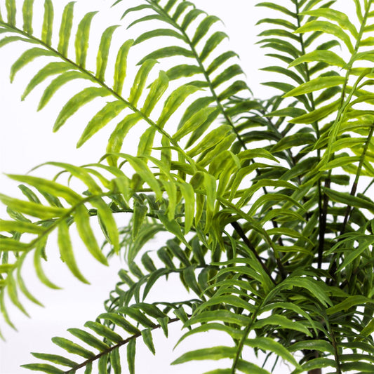 50cm Artificial Boston Fronded Fern Plant – image 2