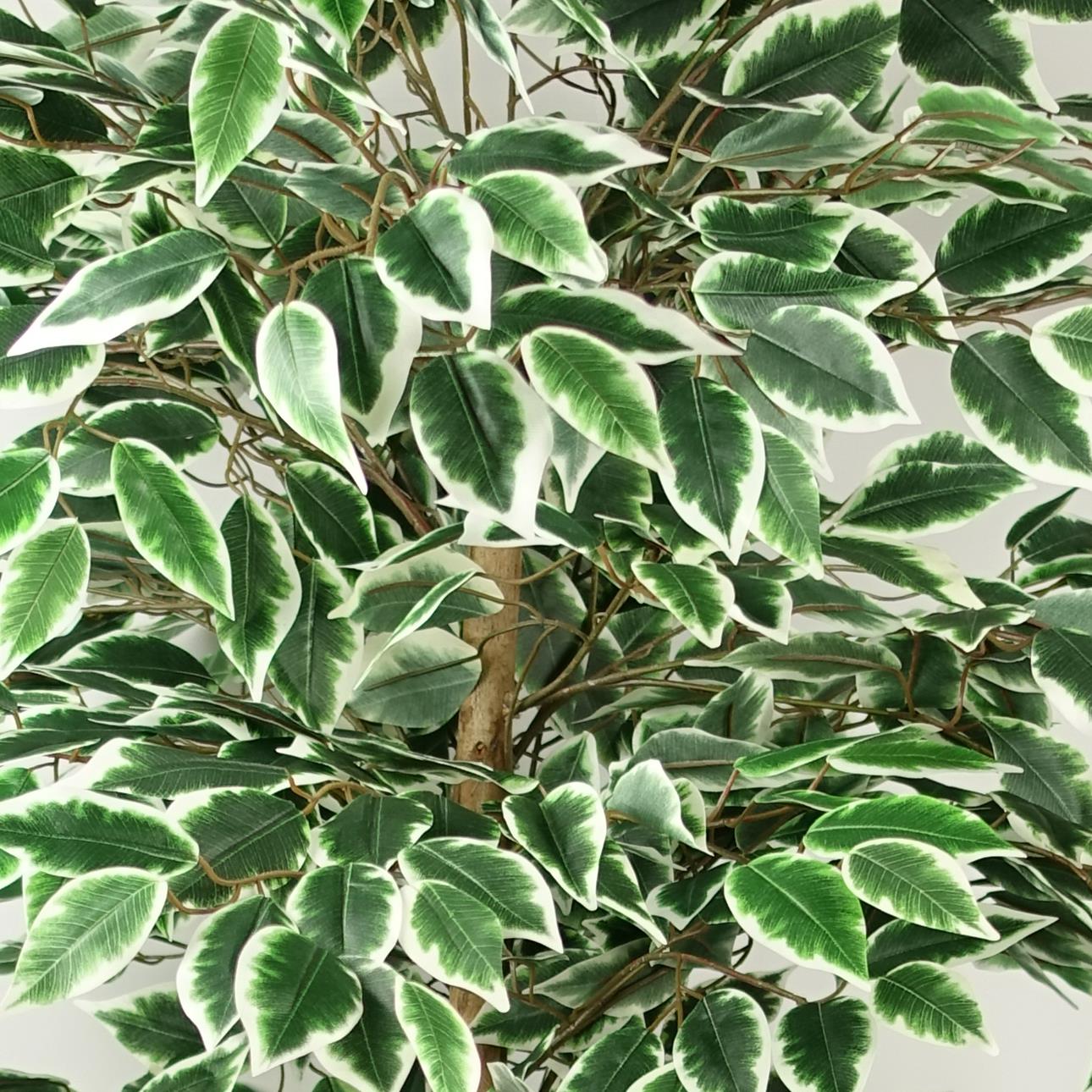 150cm Artificial Ficus Tree 1008 Silk Leaves – image 5