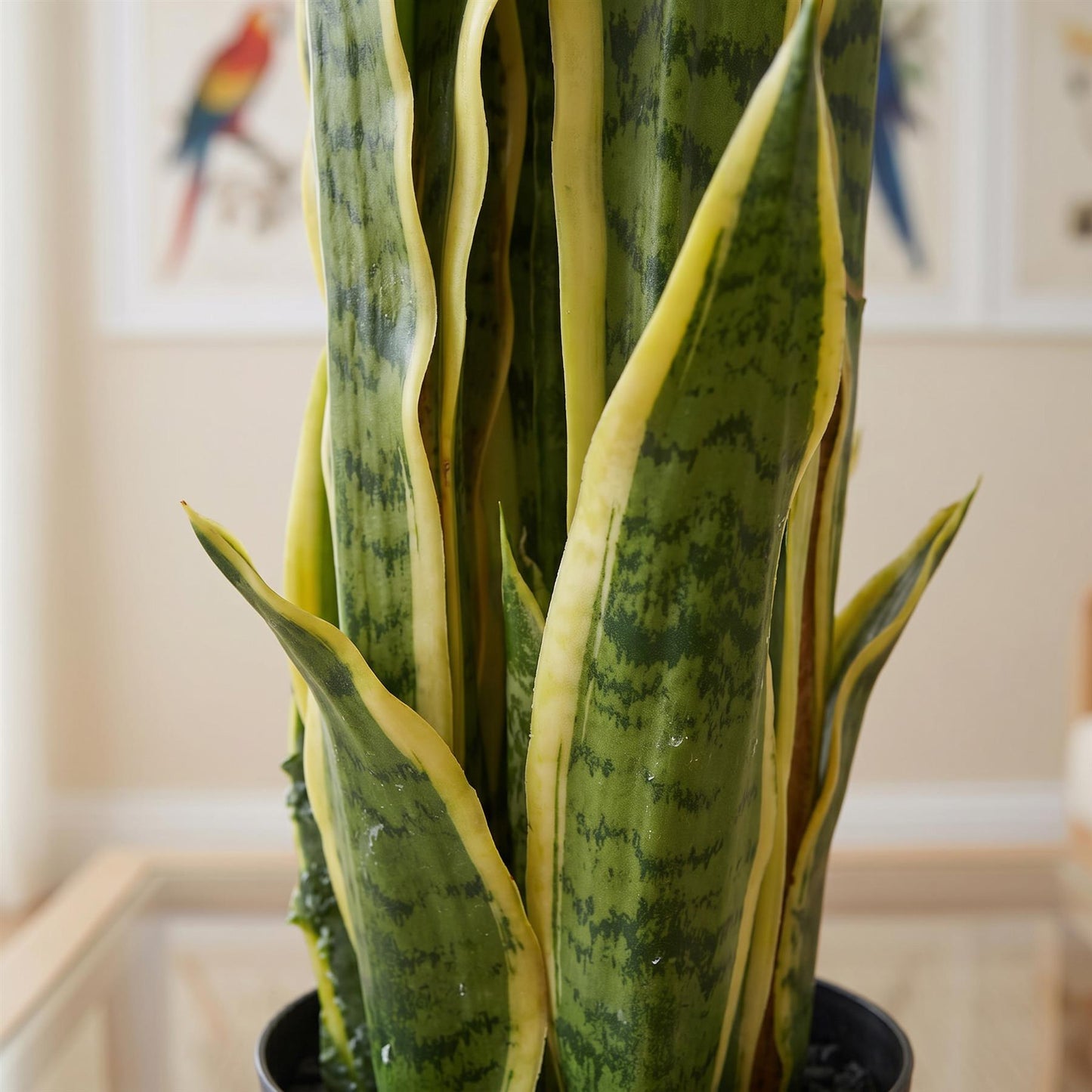 90cm Artificial Sansevieria Yellow Green Indoor Plant – image 3