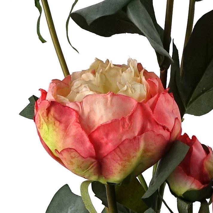 55cm Pink Peony Artificial Flowers Spray 4 Flowers 3 Buds – image 4