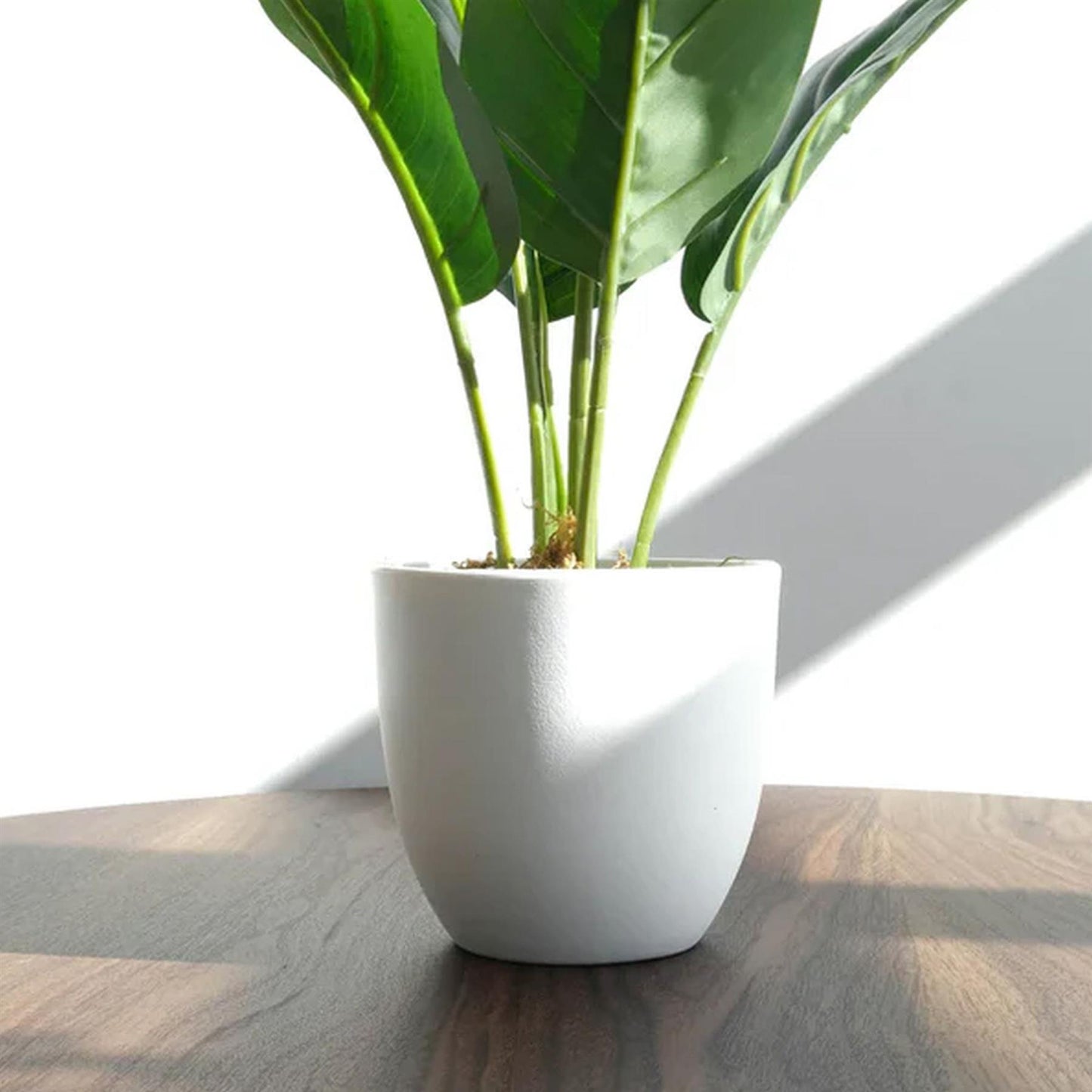 45cm Artificial Aureum Plant – image 6