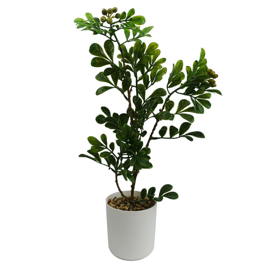 45cm Artificial Aglaia Odorata Bonsai Ficus Tree – image 2