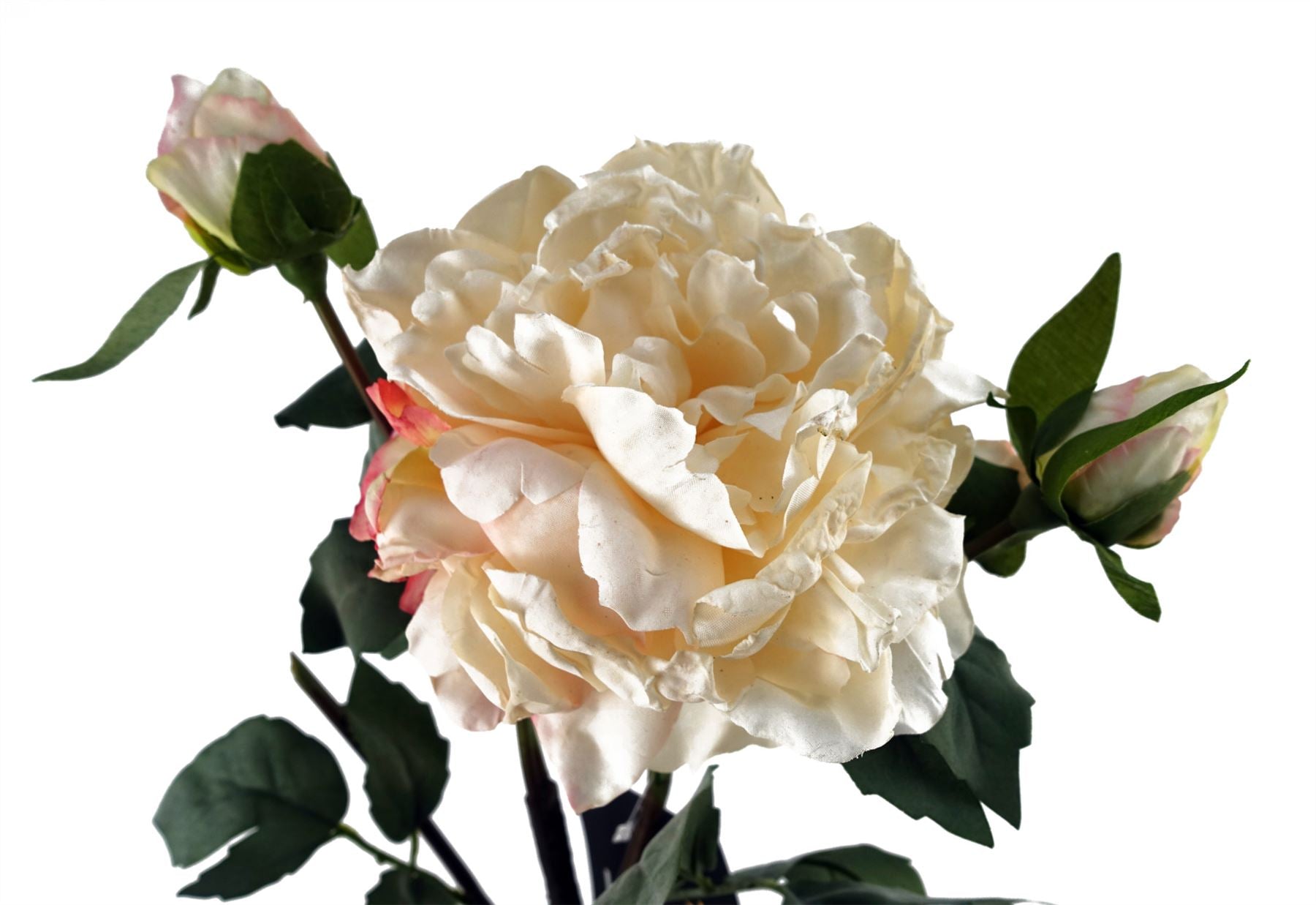 60cm Peony Artificial Flower Cream 1 Flower 3 Buds – image 3