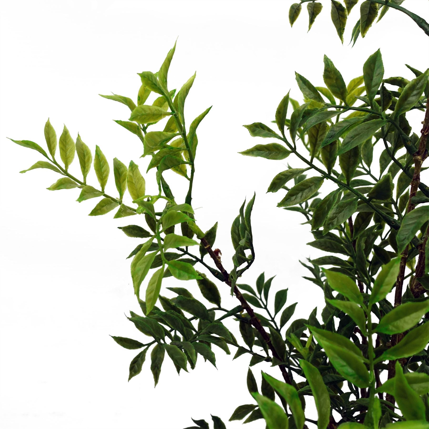 60cm Artificial Nandina Bonsai Ficus Tree – image 4