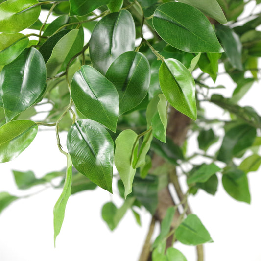 Artificial 120cm Twisted Trunk Japanese Fruticosa Style Ficus Tree – image 2